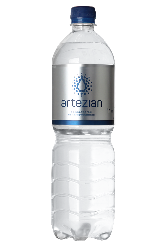 The Artezian non-carbonated Water 1 l